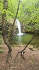 Visitor explores Bulgarian waterfall with dog companion