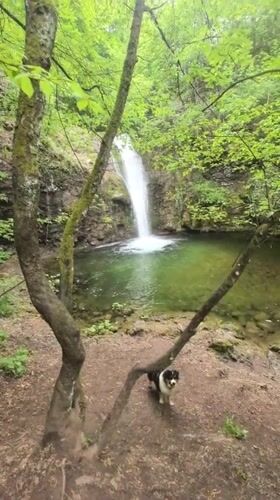 Visitor explores Bulgarian waterfall with dog companion