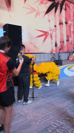 Traditional lion dance and martial arts showcase in Changshu, China