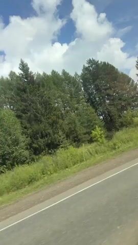 A video captured from a moving vehicle shows a roadside view. The scene is dominated by a dense line of green trees, primarily coniferous, with a few deciduous trees interspersed. The trees line the side of a paved road, which is visible in the foreground and slopes diagonally across the frame. The sky above is a vibrant blue, dotted with fluffy white clouds. The overall impression is of a scenic drive through a wooded area on a sunny day.
