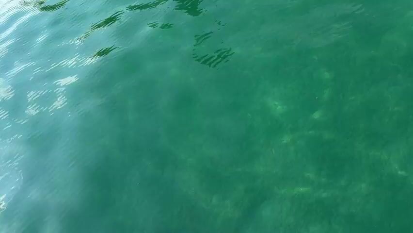 The video shows a close-up view of clear, green water with some sunlight reflecting on the surface. Underwater, the sandy bottom is visible, along with some patches of vegetation. As the camera pans up and to the left, the vast expanse of the lake and distant mountains under a cloudy sky come into view. Three small yellow buoys are visible floating on the water.