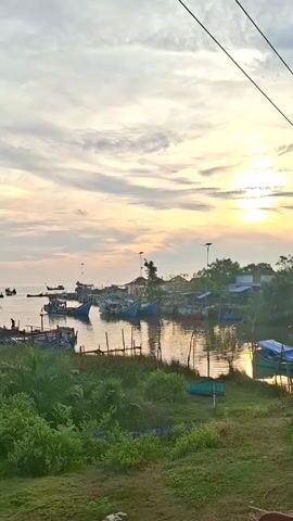 The video shows a serene harbor scene at sunrise or sunset. Several fishing boats are docked in the calm water. The sky is filled with soft, diffused light, with the sun visible as a bright glow on the horizon. Lush green vegetation borders the water's edge, and some buildings are visible in the background, suggesting a small coastal community. The overall atmosphere is peaceful and tranquil.
