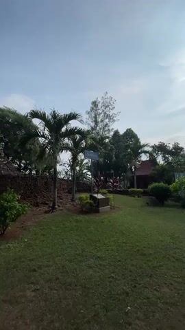 The video shows a wide shot of a historical ruin. The ruin is made of red brick and has a large tree growing out of it. There are palm trees and other greenery around the ruin. The sky is blue with a few clouds. The video is taken from a low angle, looking up at the ruin. The video is approximately 3 seconds long.