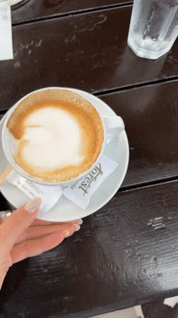 Samoyed dog joins morning coffee at Montenegro beachside cafe