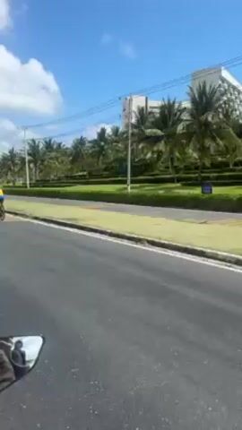 The video shows a cyclist, followed by a group of cyclists, followed by a scooter, passing by on a road adjacent to a grassy median with palm trees and shrubs, and a tall building. The camera is mounted in the side mirror of a vehicle traveling in the opposite direction. The cyclists are wearing yellow and blue uniforms, and the scooter is black. The sky is blue and there are some clouds. The road is asphalt and has white and yellow lines painted on it. The tall building has a sign that says "ALMA". There are also lampposts and utility poles visible.