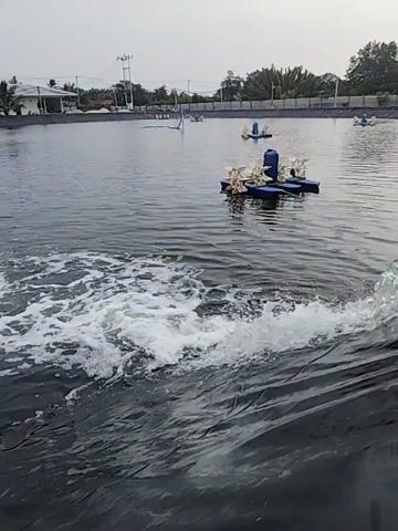 The video shows a fish or shrimp farm. In the foreground, the water is churning and frothing, likely from an aerator or pump. In the middle ground, several paddlewheel aerators are visible on the surface of the pond, creating ripples and aeration. In the background, there are buildings, possibly processing plants or administrative offices, and the pond is lined with black plastic sheeting. The sky is overcast, suggesting a cloudy day. There are no people visible in the video. The scene is characteristic of aquaculture operations.