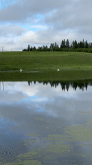 Tranquil morning scenes documented at Russian lake near Среднее Кечево