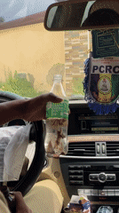 TikTok-branded vendor sells roasted corn at Nigerian roadside stall