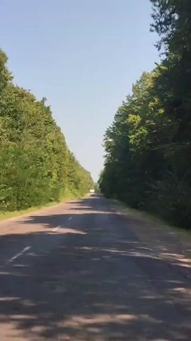 This is a first-person perspective video of someone driving down a paved road lined with dense green trees on both sides. The sky is clear and blue. A white vehicle is visible in the distance on the road ahead. The camera is looking straight ahead, capturing the road and the surrounding foliage as the vehicle moves.