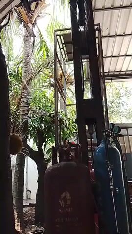 The video shows an outdoor scene with several objects and vegetation. In the foreground, there are two large gas cylinders, one red and one blue, connected to hoses. Behind them, a metal structure, possibly a hoist or a frame, is visible. To the left of the cylinders, a tree trunk with what appear to be coconuts hanging from it is prominent. Further left, a white wall and a ladder are partially visible. Lush green foliage from trees and palm trees surrounds the area. The ground is covered with dirt and debris. The overall environment suggests an outdoor workshop or storage area, possibly in a tropical or subtropical location. There are no people visible in the video.