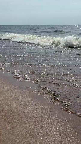 The video shows a beach with gentle waves rolling onto the shore. The sand is a reddish-brown color and appears wet near the water's edge. There are small clumps of green seaweed scattered on the sand and in the shallow water. The water is a dark blue color, and the sky is partly cloudy with a pale blue hue. In the distance, there is a line of trees along the horizon. The camera is positioned low to the ground, close to the sand, and pans slightly to the right, revealing more of the shoreline. The overall scene is tranquil and serene.