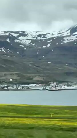 Here is a description of the video:

The video shows a landscape with a field of yellow flowers in the foreground, a body of water with a small town on the shore in the middle ground, and mountains covered in snow in the background. The sky is overcast. The video appears to be taken from a moving vehicle.