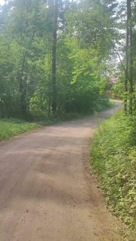 The video shows a dirt road in a forest. The road is lined with trees and vegetation. The sun is shining, casting shadows on the road. The camera is moving forward, as if someone is walking or riding a bike down the road.