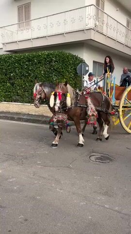 The video shows a parade of horse-drawn carriages on a street in a European town. The first carriage is pulled by two brown horses in ornate harnesses with red and green tassels. A young woman is sitting in the carriage alongside two men. The carriage itself is painted in bright blues and yellows. A man in black clothes walks past the carriage, away from the camera. After the first carriage passes, another carriage pulled by a single horse comes by. The horse is led by a man in jeans and a t-shirt. People are walking on the sidewalks and more carriages can be seen further down the street. The buildings are painted white or cream.