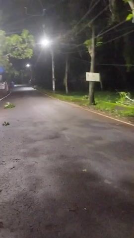 The video shows a first-person perspective of someone riding a bicycle at night on a wet, paved road. Streetlights illuminate the scene, casting long shadows. Trees line the sides of the road, and there are some scattered leaves and debris on the pavement. The rider's hands are visible on the handlebars, and the front of the bicycle is in focus. The road appears to be in a rural or suburban area.