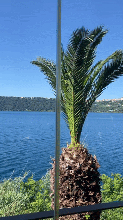 Morning coffee and lake views captured in Castel Gandolfo