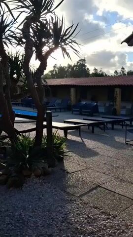 The camera pans across a pool area on a sunny day, with a palm tree in the foreground and a pool, patio furniture, and a building with a tiled roof in the background. The sky is blue with scattered clouds, and the sun is shining through the palm fronds, creating a silhouette effect. The pool is filled with clear blue water, and there are lounge chairs and tables on the patio surrounding it. The building behind the patio has a brown tiled roof and open arches along the side facing the pool. There is no one in sight.
