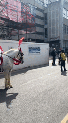 Knight on horseback spotted in Manchester city center