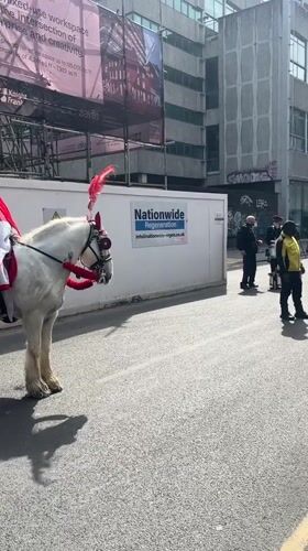 Knight on horseback spotted in Manchester city center