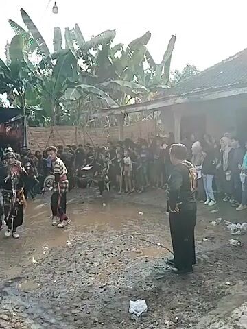 The video shows a traditional Indonesian cultural event taking place outdoors in a muddy area. A crowd of people, mostly young men and women, stand around the edges of the open space, watching the performance. Several individuals in traditional attire are dancing, wielding what appear to be woven whips or props. The area is surrounded by lush foliage, including banana trees, and a simple building with a corrugated metal roof. One man in dark clothing is standing near the edge of the performance area, possibly overseeing the event. The lighting is somewhat bright, but the scene is slightly hazy.