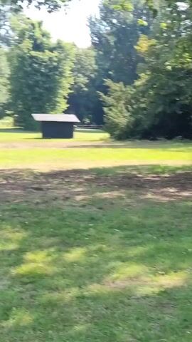 The video pans across a large, grassy lawn in front of a pink, multi-story building with a dark roof. Several trees are visible on the property, including large deciduous trees and a smaller evergreen. The building has numerous windows and appears to be an institutional or historic structure, possibly an academy or a similar establishment, as indicated by large white letters on the lawn spelling out "academie". Flags are flying on poles in front of the building, and banners are displayed on the facade. The sky is blue with a few wispy clouds, suggesting it is daytime and fair weather. The overall scene is one of a well-maintained, park-like setting.