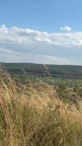 The video pans across a landscape. In the foreground, tall dry grass blows in the wind. In the midground, there is a valley with trees, fields, and a body of water. In the background, there are rolling hills and a blue sky with white clouds. There are some man-made structures visible, including power lines and buildings. The overall impression is a rural, natural setting bathed in sunlight.