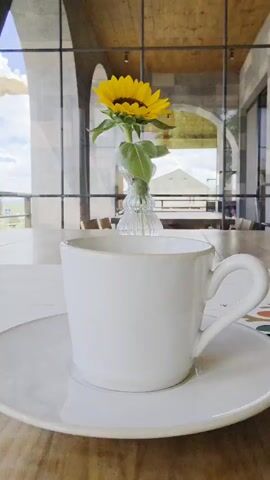 The video begins with a close-up of a white coffee cup and saucer on a wooden table. To the right, a single yellow sunflower in a clear glass vase is visible. The background is out of focus, showing a window with arched structures and the blurred shapes of furniture, suggesting an indoor setting like a restaurant or cafe. The camera then slowly zooms out and pans slightly to the left, revealing more of the table and a menu laid out in front of the coffee cup. The sunflower remains the central focus of the scene. The camera continues to zoom out and shift, capturing the sunflower and vase from different angles and distances. The environment appears to be well-lit, possibly by natural light coming from the window. There are no people visible in the video.