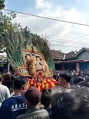 The video shows a cultural performance featuring a person in elaborate costume. The costume includes a large headdress adorned with peacock feathers and what appears to be a mask with a furry mane. The headdress is decorated with colorful fabric and what looks like writing in a foreign script. The person in costume is surrounded by a crowd of onlookers, some of whom are holding up their phones to record. The background suggests an outdoor setting with buildings that appear to be houses. The overall atmosphere seems festive, with people gathered to watch the performance. There are hints of a street or an open area in front of the buildings where the event is taking place. The crowd is dense in places, indicating a significant turnout. The lighting suggests it is daytime.
