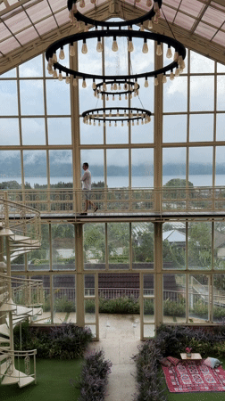 Cat spotted on wooden bench in Indonesian village