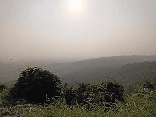Daylight valley and palm plantation views recorded from elevation