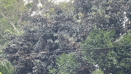 Makeshift shelter and utility infrastructure documented in rural area
