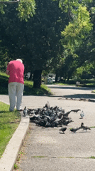 Sofia resident documents ordinary city life across parks, streets