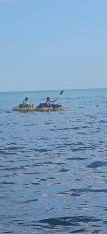 Two people are in a yellow inflatable boat on the water. The person in the front appears to be wearing a hat and is sitting. The person in the back is holding a paddle and is also sitting. They are both facing to the right of the frame. The water is blue and choppy. The sky is clear and light blue.