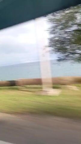 This is a blurry, shaky video taken from a moving vehicle, likely a train or car, looking out a window. The scene shows a body of water, possibly the ocean, under a cloudy sky. There are some trees and greenery along the shore, and a power line pole is visible on the left. The ground in the foreground is a blur of green grass and a dark surface, likely a road or railway track. The overall impression is of a fast-moving journey along a coastal route.