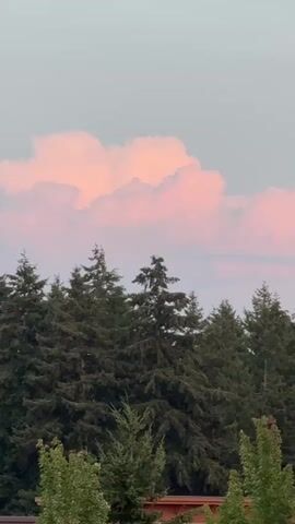 The video shows a static shot of a natural landscape with a light pink cloud formation in the sky above a dense line of evergreen trees. In the foreground, there are the tops of deciduous trees and a hint of a building structure. Two black lampposts are visible on the right side of the frame.
