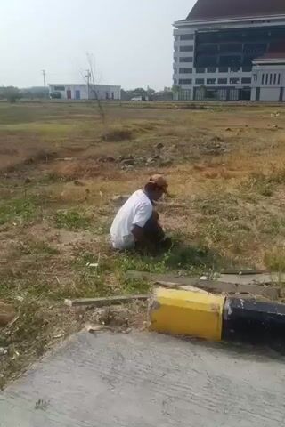 A man wearing a white t-shirt and a brown cap is squatting on the ground, appearing to be pulling weeds or gathering vegetation. He is in an open, grassy area with dry patches of soil. In the background, there is a large, modern building with multiple floors and a dark roof. The sky is clear and bright. In the foreground, there are pieces of concrete and a broken yellow and black pole lying on the ground. The overall environment suggests an outdoor space, possibly a field or undeveloped land near a building.