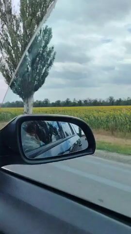 The video shows a view from inside a car, looking out the passenger window and through the side mirror. Outside the car, there is a large field of sunflowers stretching towards the horizon, with trees and a cloudy sky visible above. The side mirror reflects the interior of the car, showing a person in the passenger seat. The car appears to be moving along a road bordered by grass and the sunflower field. The overall impression is of a scenic drive through a rural landscape.