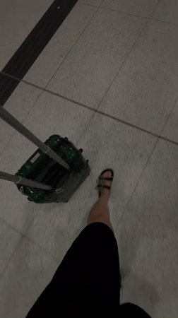 Passing through Belgrade: airport transit and city glimpses