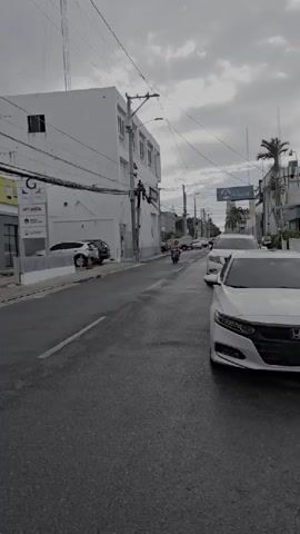 This is a street-level vertical video of a street with traffic. Cars and a motorcycle are visible driving on the street. The street is lined with buildings and trees. The sky is overcast.