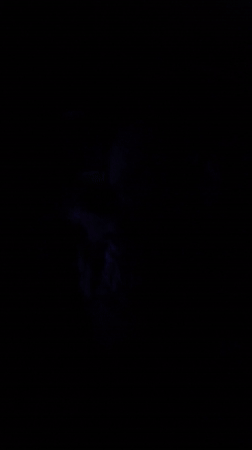 Animated films screened at Strasbourg cinema Sunday afternoon