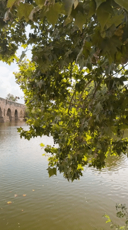 Mérida's Roman bridge over the Guadiana, multiple angles