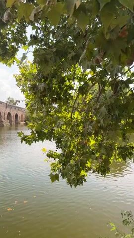 A long, stone arched bridge spans a body of water. Green trees with large leaves frame the foreground of the scene. The bridge has multiple arches and appears to be made of light brown stone. Flags are visible on top of the bridge. The water is a greenish-blue and appears calm with ripples on the surface. The sky is blue with some white clouds. The lighting suggests it is daytime.