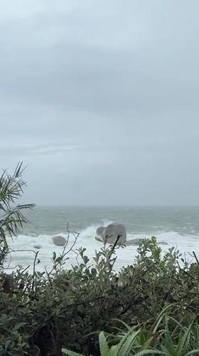 Cape Town journey captures stormy coast, leopard-themed venue interiors