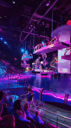 Moscow entertainment venues host performances, rides, marine exhibits