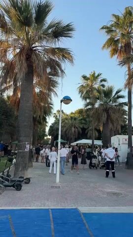 The video captures a lively outdoor scene, possibly a public event or gathering, taking place on a pedestrian walkway lined with tall palm trees. People of various ages are walking and milling around, some appearing to be couples or groups. There's a mix of casual and slightly dressier attire, with some individuals in white clothing. A row of stalls or tents can be seen in the background, suggesting vendors or activity booths. Other details include a blue athletic mat, a small scooter parked to the side, and lampposts. The atmosphere seems social and relaxed, with the palm trees and clear sky creating a pleasant outdoor setting.