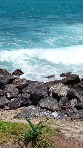 This video shows a turbulent ocean with waves crashing against a rocky shore. The water is a vibrant turquoise blue and the waves are white with foam. The rocks are dark and jagged, with some vegetation growing in the foreground. The sun is shining, casting a bright light on the scene. The video appears to be filmed from a stationary position on the shore, looking out towards the ocean.