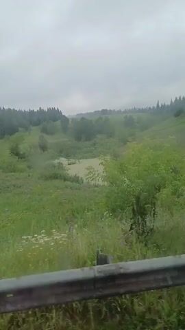 A video captures a landscape viewed from a moving vehicle. The scene is dominated by rolling green hills covered in lush vegetation, with a murky pond situated in a valley. A dense forest lines the horizon. The sky is overcast with a heavy, gray cloud cover, suggesting a gloomy or rainy day. In the foreground, a metal railing is visible, indicating the perspective is from a car or truck on a road. The overall impression is one of a rural, natural environment under a somber sky.