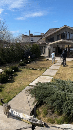 Couple walks toward house with cats in Kursk