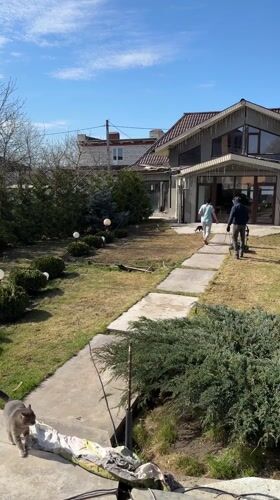 Couple walks toward house with cats in Kursk
