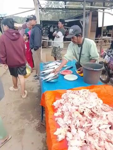 The video shows an outdoor market scene. In the foreground, a table is covered with an orange tarp, displaying a large pile of raw chicken pieces. To the left, a blue tarp covers a table where a vendor is arranging several fresh fish. The vendor, a man wearing a light green shirt and a baseball cap, is seen handling one of the fish. To his left, there are plates, one red and one white, and a yellow object. Behind the vendor, a black bucket is visible. In the background, a line of people, including men, women, and a child, are standing. Some are looking towards the vendor. The environment appears to be a dirt or unpaved area, suggesting a rustic or informal marketplace. The lighting indicates it is daytime.